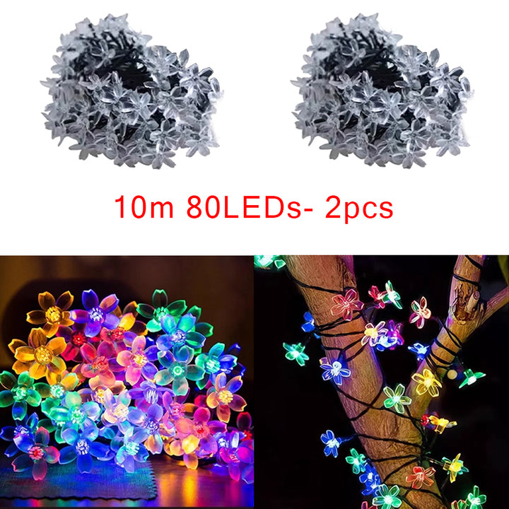 BDI Technology