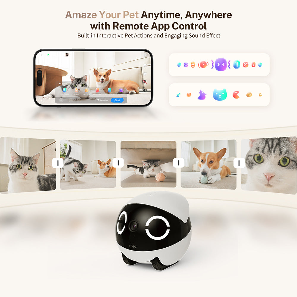 rola-mini-companion-robot-2k-movable-pet-camera-remote-app-control