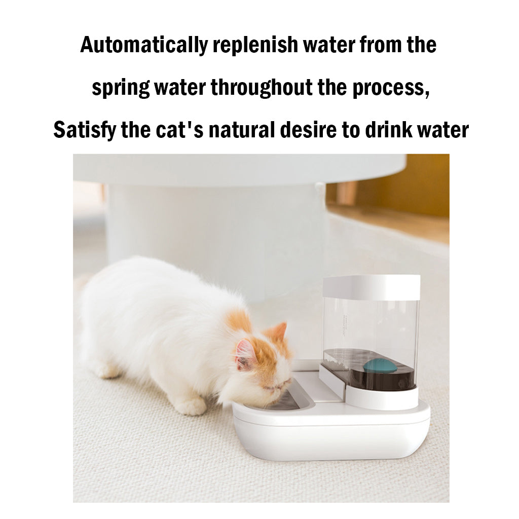 bdi-m001-auto-pet-water-dispenser-food-grade-material-easy-clean