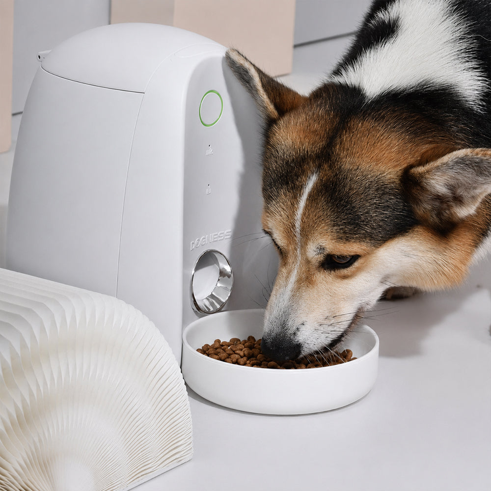 feeder-mini-2l-automatic-pet-feeder-wi-fi-remote-control-for-cats-small-dogs-pink
