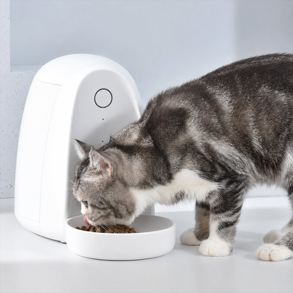 feeder-mini-2l-automatic-pet-feeder-wi-fi-remote-control-for-cats-small-dogs-pink
